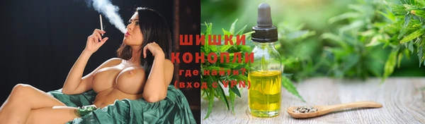 соль ск Козловка