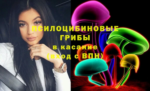 соль ск Козловка